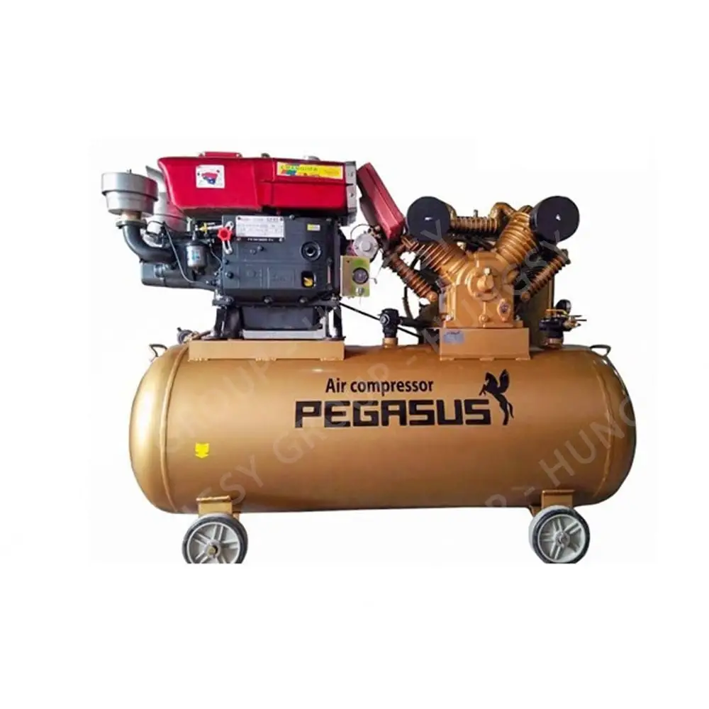 Máy nén khí chạy dầu PEGASUS TM-W-1.0/8-500L